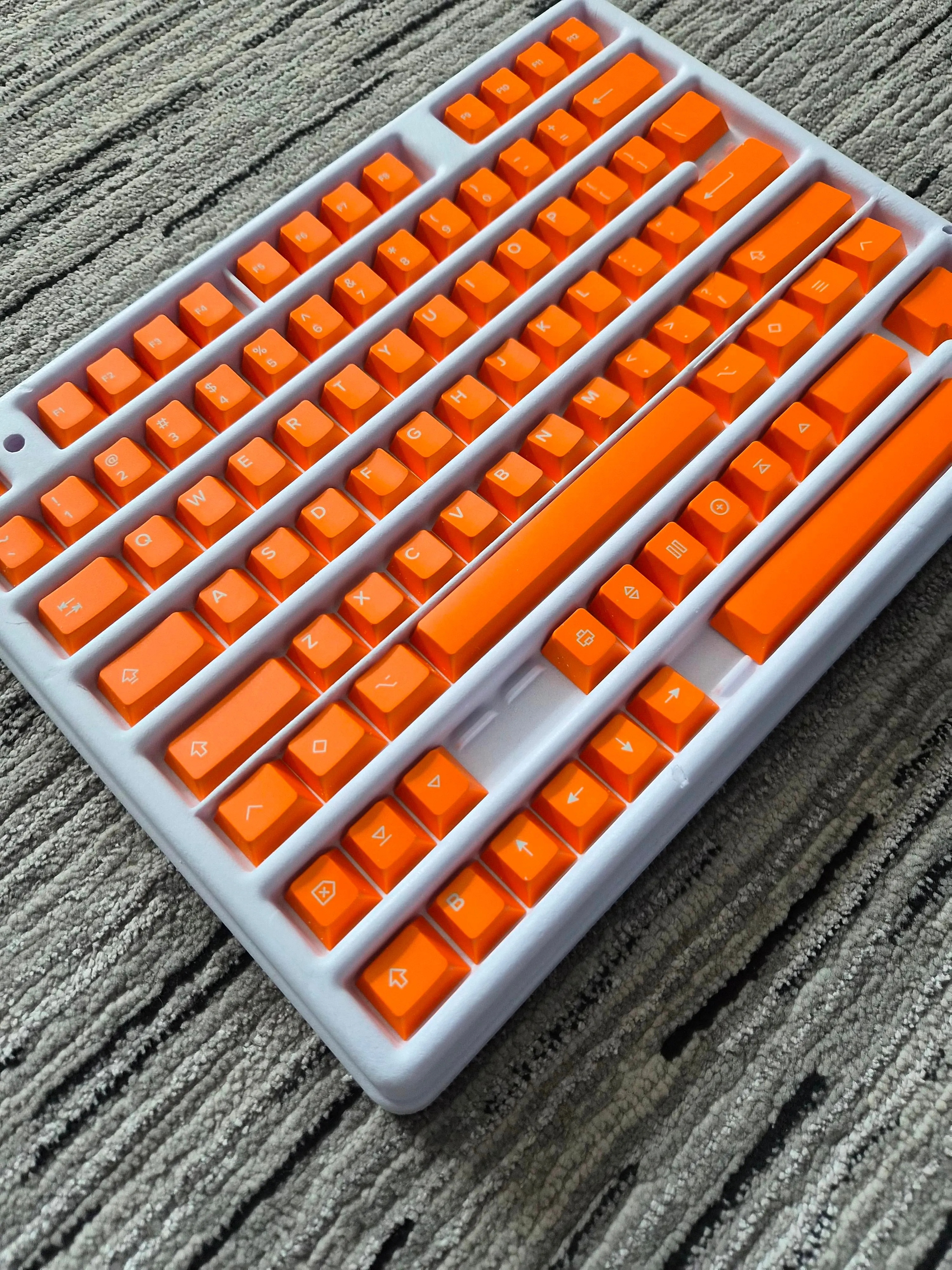 全体像