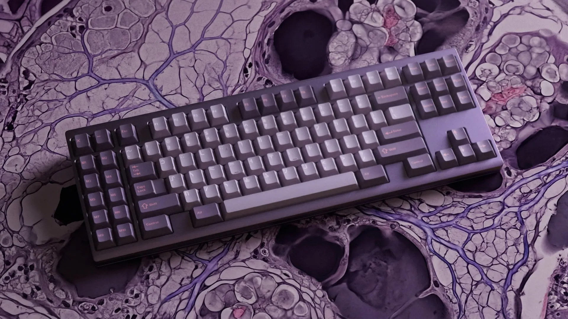 DIVERSITY TKL 全景