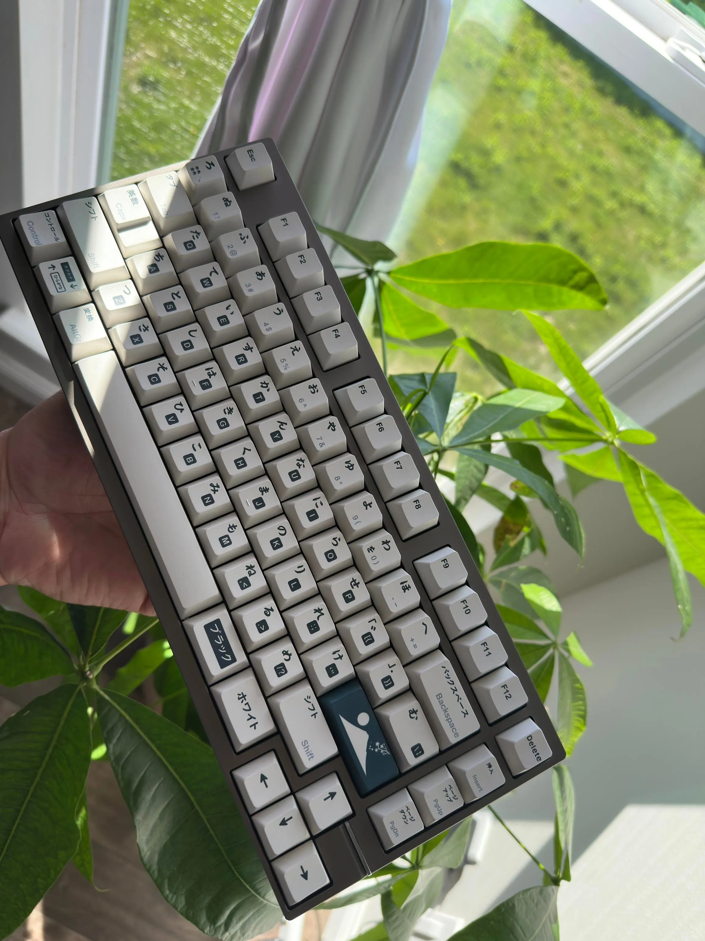 Neo 75の全体像